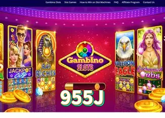 FAQ 955J Brasil