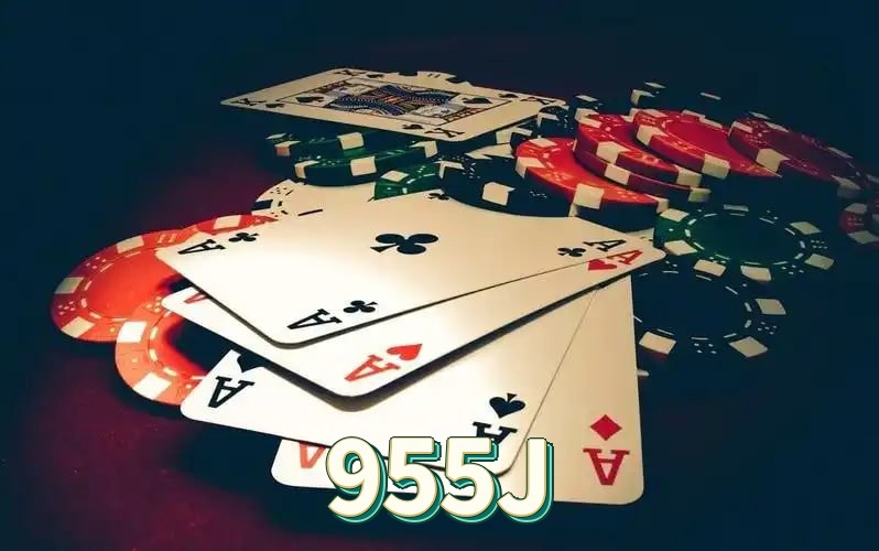 955J feedback — categorias de sugestão e melhoria no app